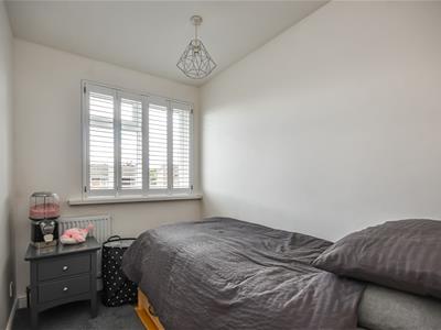 Picture 15